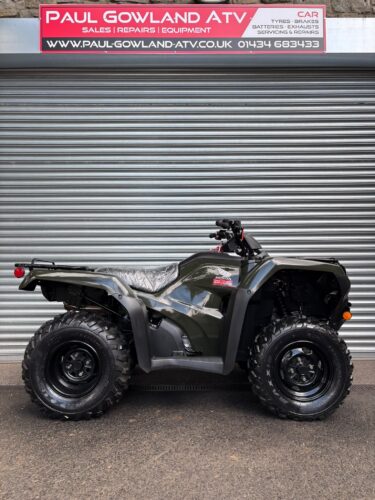 2021 Honda Fourtrax 420 (TRX420FM2) | Green | Power Steering